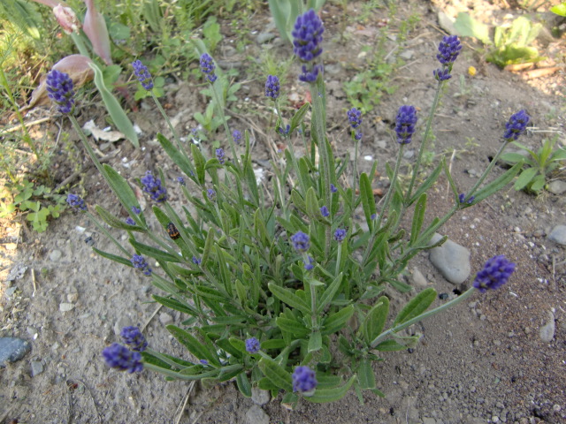 e0234924_90149.jpg