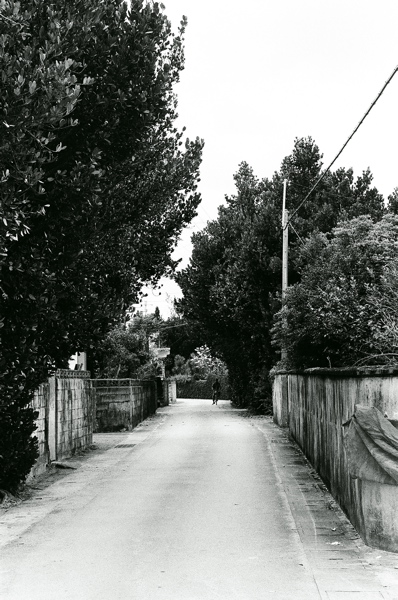 f0182924_10265034.jpg