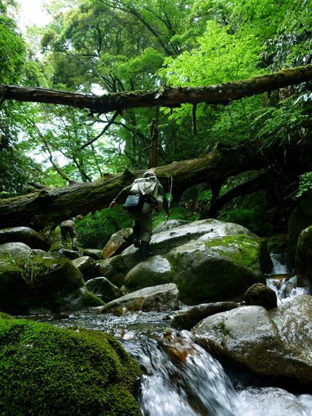 e0200926_1215866.jpg