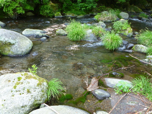 b0195927_21403495.jpg