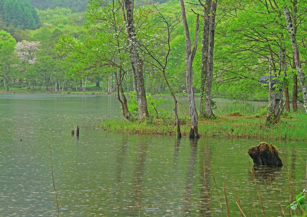c0104227_20464095.jpg