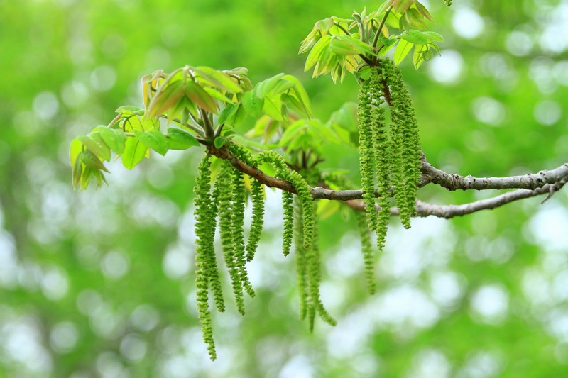 c0104227_2057323.jpg