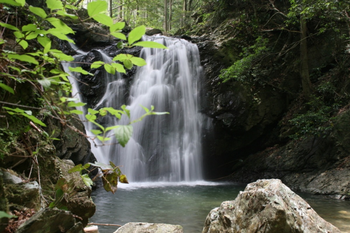 e0033229_21111165.jpg
