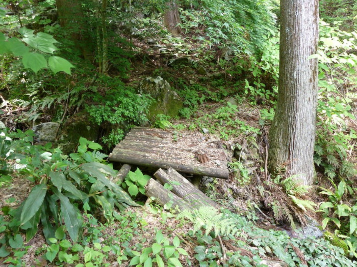 e0033229_21533327.jpg
