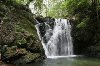 e0033229_2239712.gif