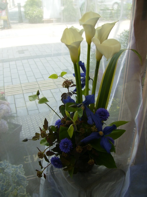 c0103830_176797.jpg