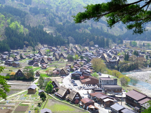 b0162733_8242155.jpg
