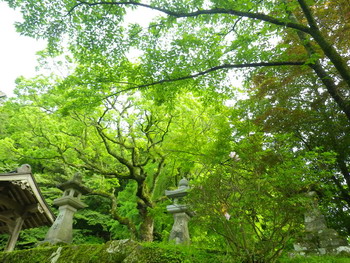 c0183137_0504417.jpg