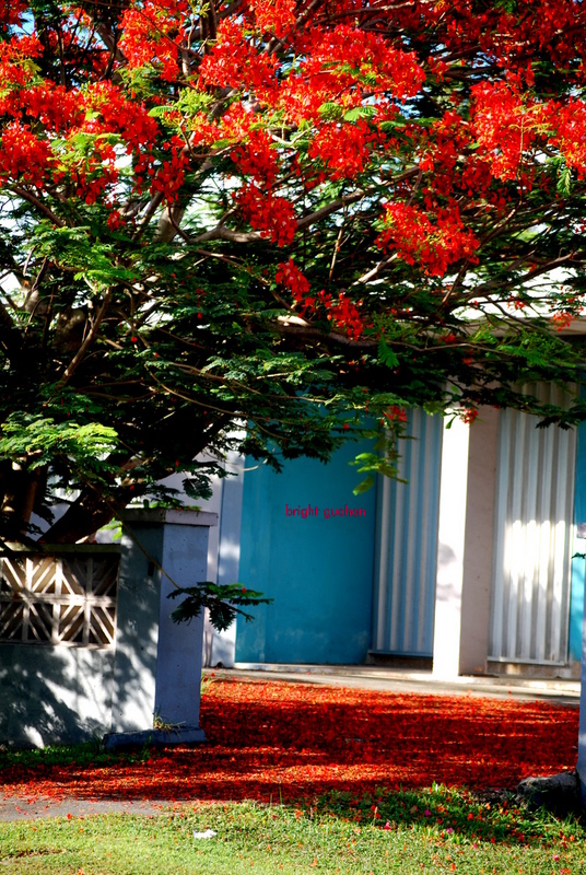 c0105739_21451992.jpg