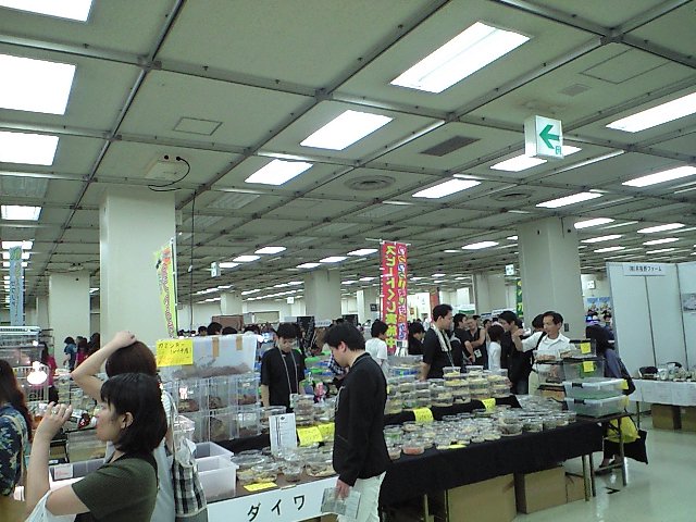 e0119439_23484945.jpg