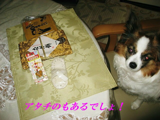 a0149240_15581571.jpg