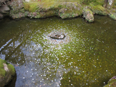 f0141840_06049.jpg