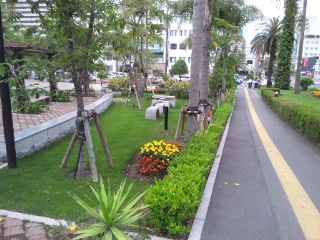 b0199742_2159403.jpg