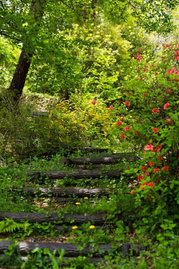 d0008146_0114790.jpg
