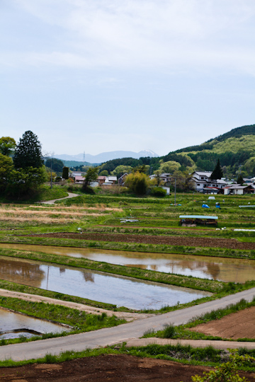 d0008146_016675.jpg