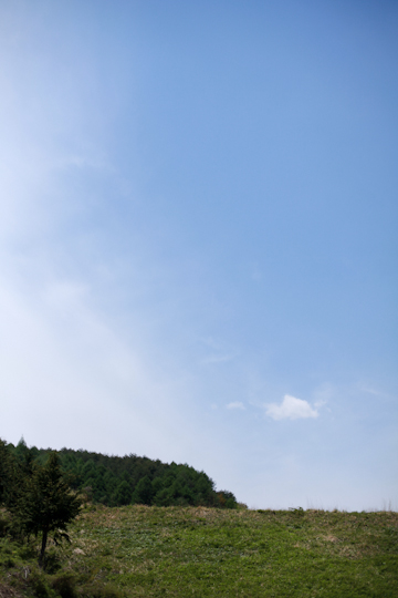 d0008146_024011.jpg