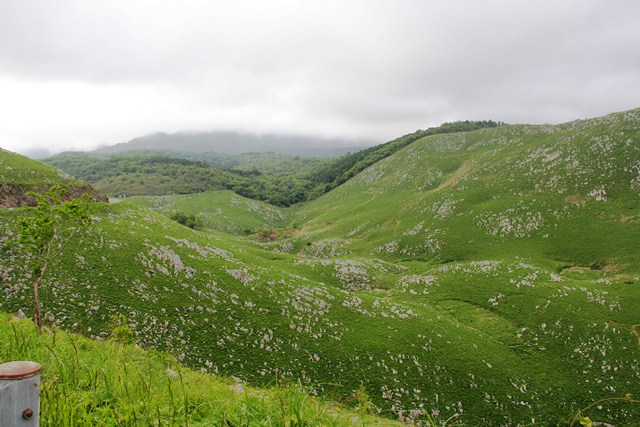 d0163550_1833098.jpg