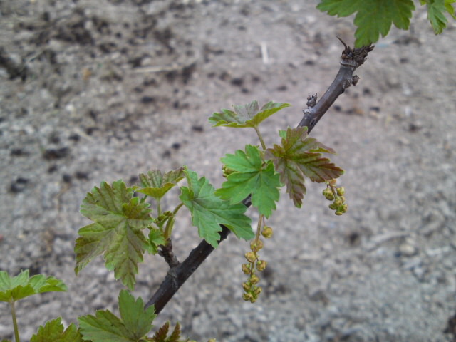 d0185150_2185025.jpg