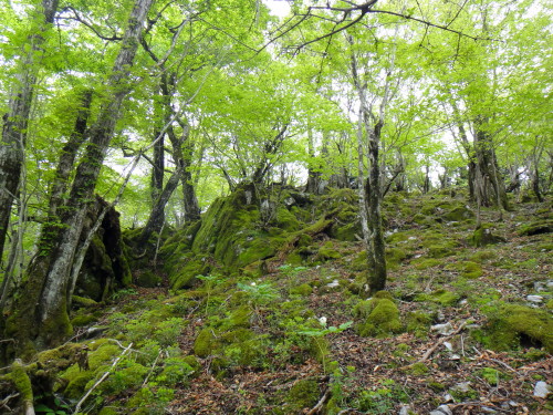 c0179351_11545793.jpg