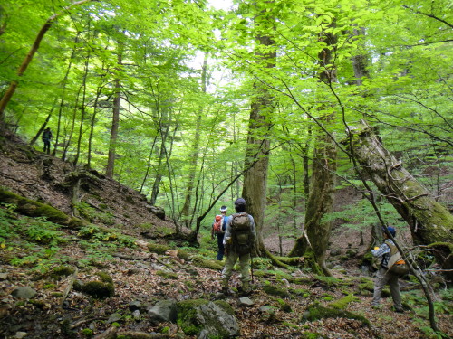 c0179351_1204142.jpg