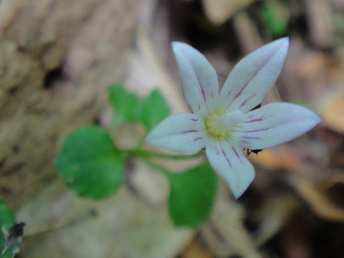 c0179351_122370.jpg