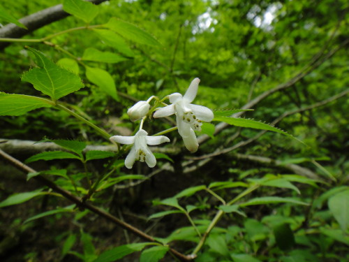c0179351_1231371.jpg