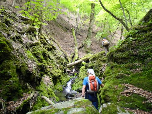 c0179351_124955.jpg