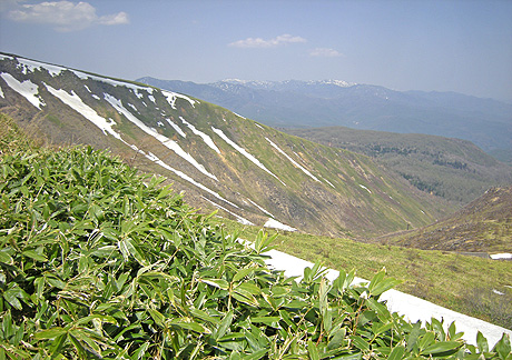a0001354_1201097.jpg