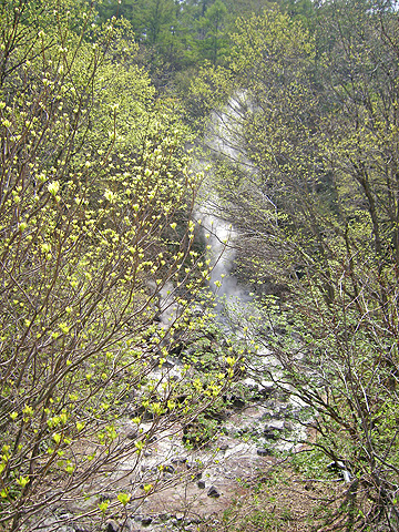 a0001354_1272839.jpg