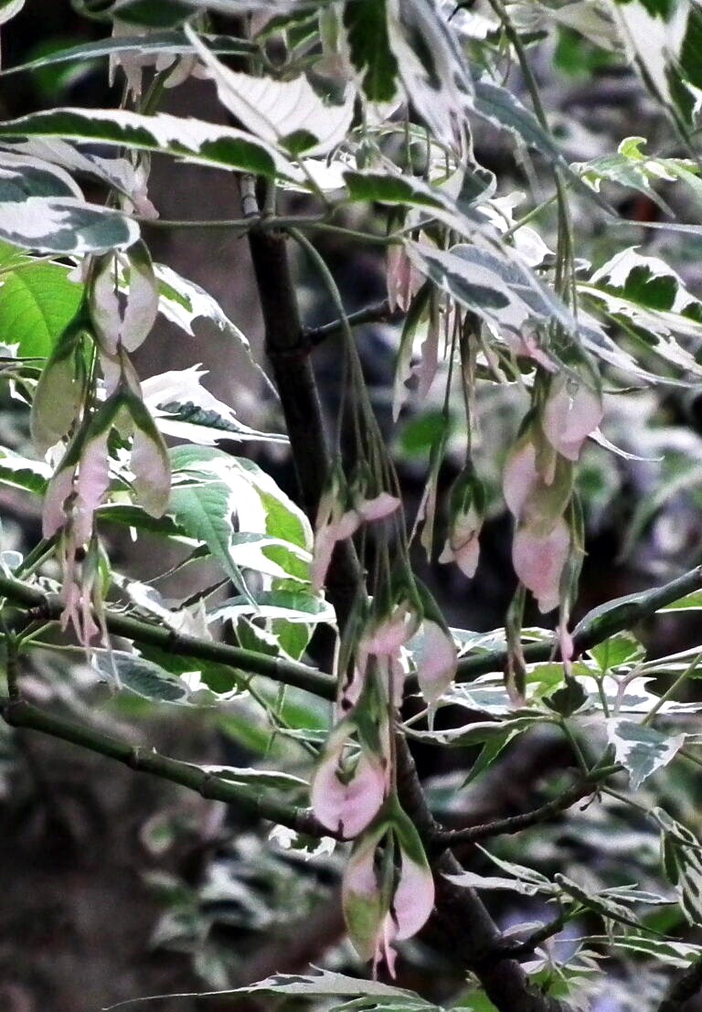 e0064158_23135857.jpg