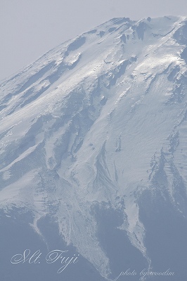 b0102560_1353129.jpg