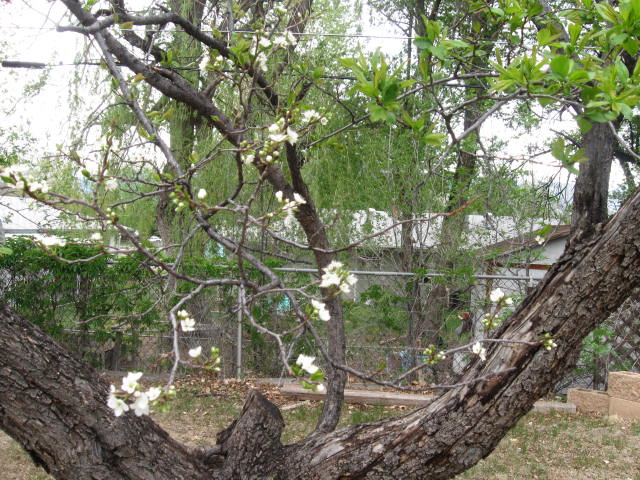 b0207361_7533619.jpg
