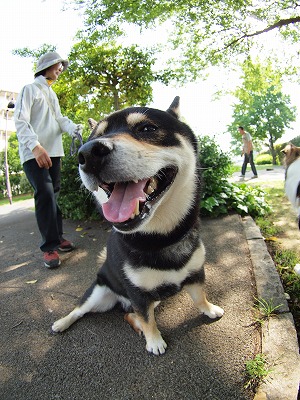 b0180764_21584178.jpg