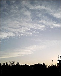 a0050669_813158.jpg