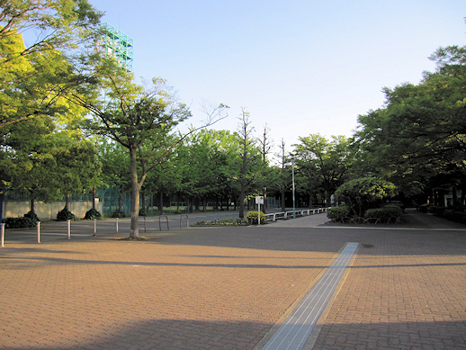 e0169970_1641240.jpg