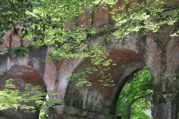 b0055171_17182817.jpg
