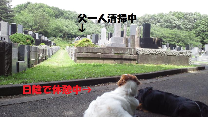 e0207477_039410.jpg