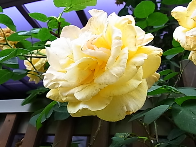b0206784_8571940.jpg