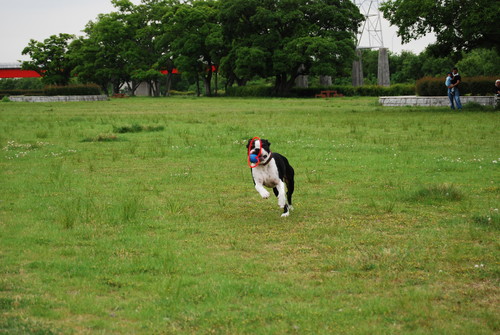 c0092787_10505560.jpg