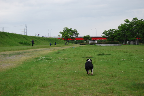 c0092787_10515897.jpg