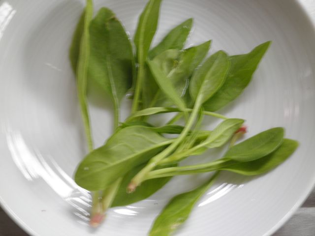 f0130894_20445831.jpg