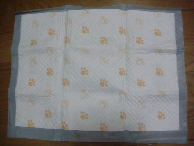 d0098295_16294598.jpg