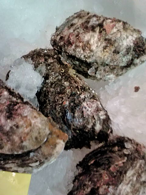 f0084695_10402164.jpg
