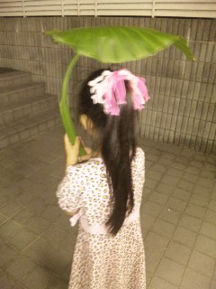 c0053096_20211414.jpg