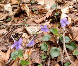 c0151898_20195134.jpg