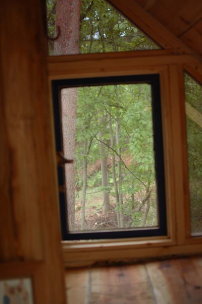a0011999_14204277.jpg