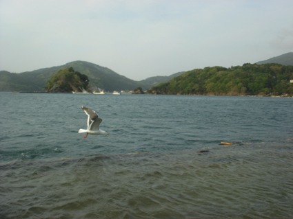 f0082301_12123975.jpg