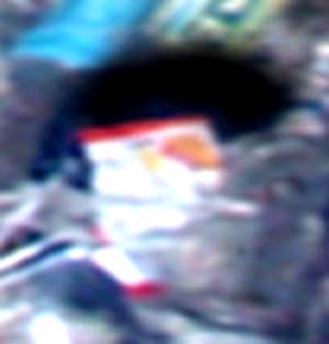 e0103408_1233263.jpg