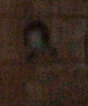 e0103408_174370.jpg