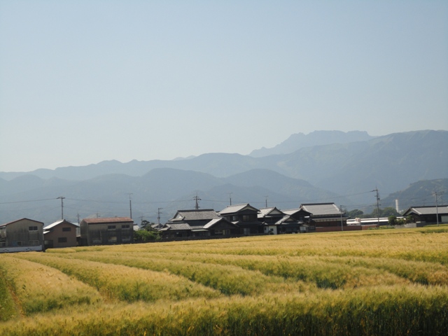 f0231709_19385663.jpg